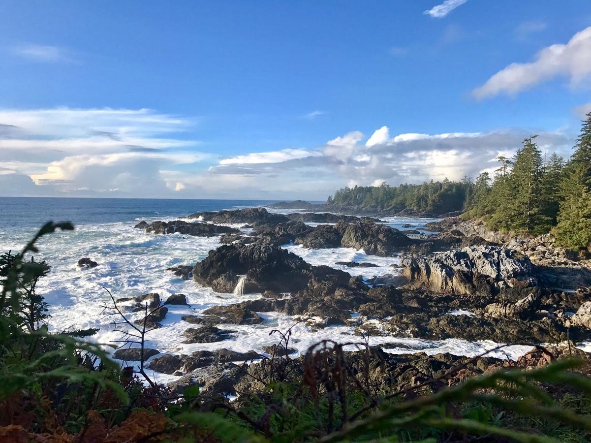 Odyssey Shores Guest Suite Ucluelet Esterno foto