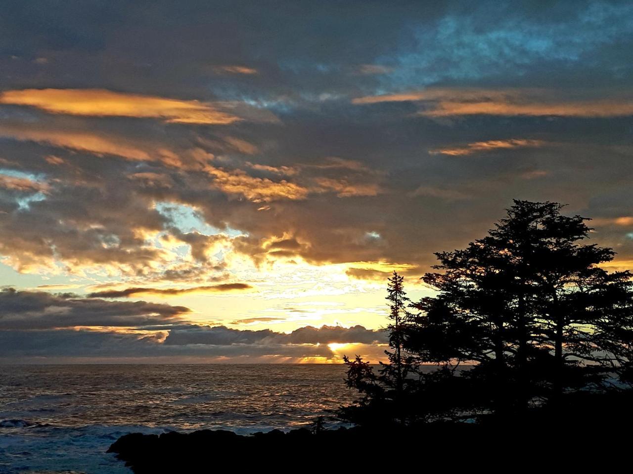 Odyssey Shores Guest Suite Ucluelet Esterno foto